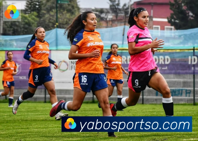 APP界面展示